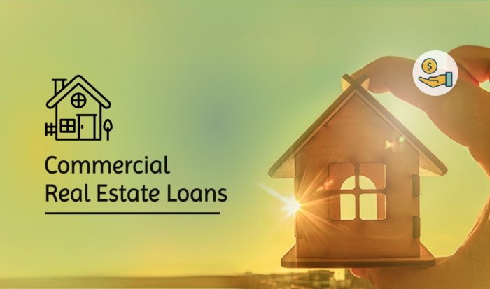 Commercial Real Estate Loans: A Definitive Guide