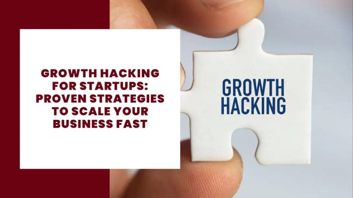 Growth Hacking for Startups: Proven Strategies to Scale Your Business Fast
