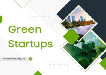 The Green Startup Boom: Opportunities in Sustainable Innovation