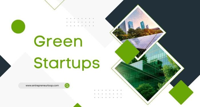 The Green Startup Boom: Opportunities in Sustainable Innovation